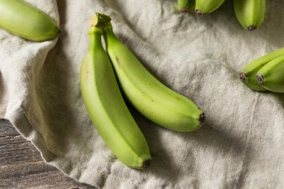 The supplementation of green banana powder has been shown to raise the levels of beneficial bacteria, including Bifidobacterium bifidum. © Getty Images